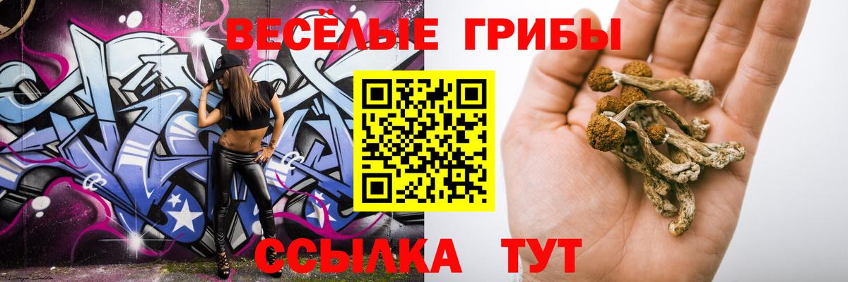 Галлюциногенные грибы Cubensis Унеча