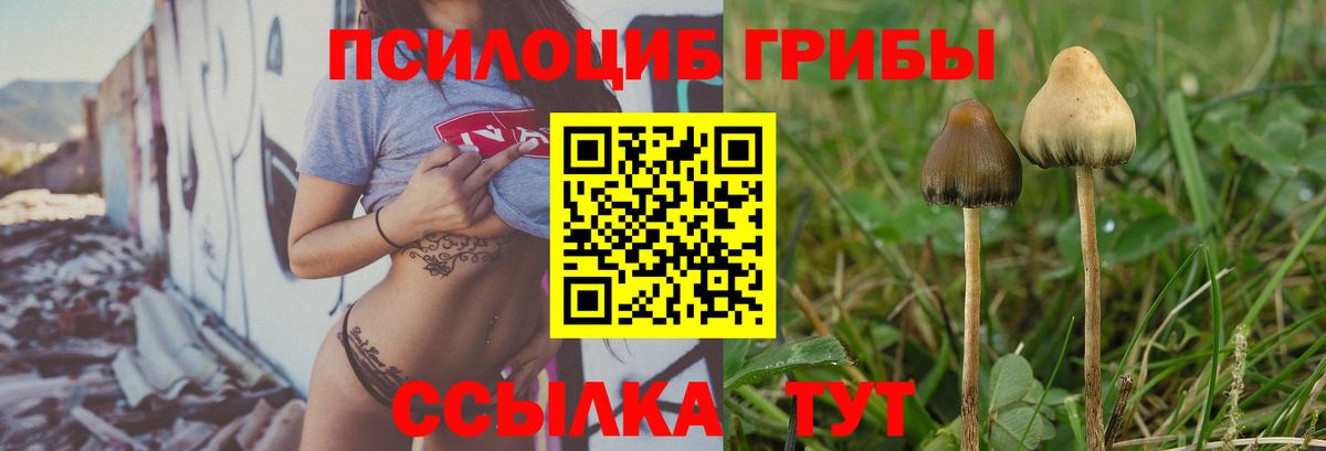 Унеча  Псилоцибиновые грибы GOLDEN TEACHER  Вход с VPN 